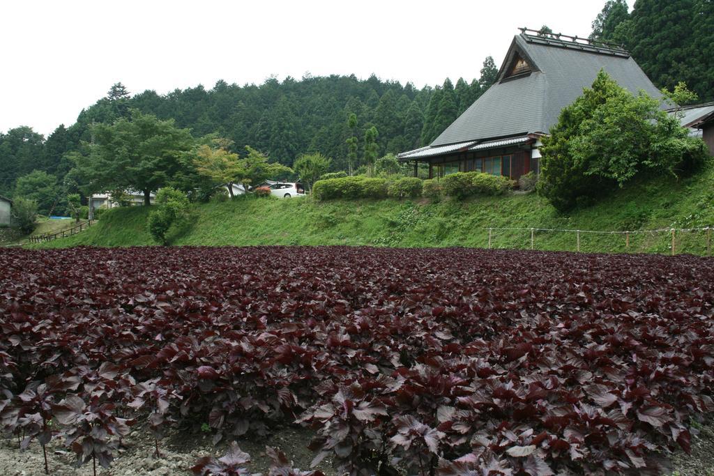 Hotel Yumoto Onsen Oharasansou Kioto Zewnętrze zdjęcie