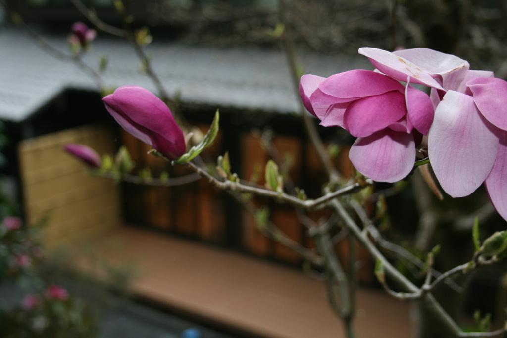 Hotel Yumoto Onsen Oharasansou Kioto Zewnętrze zdjęcie